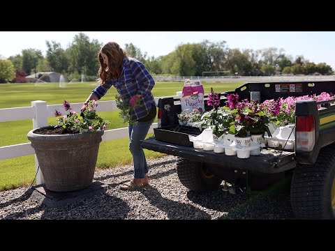 Planting 14 Pots Along Our Fence! Super Excited about This Recipe!