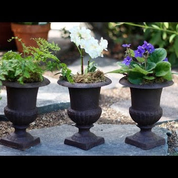 Triple Urn Challenge - August