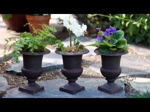 Triple Urn Challenge - August