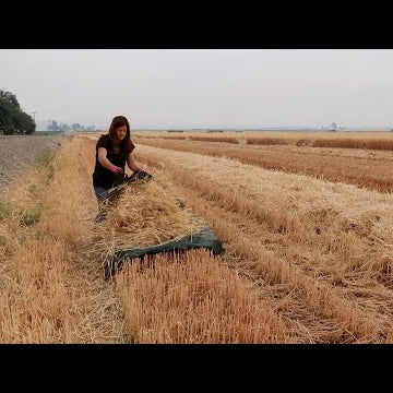 Making Wheat Wreaths with my Mom!