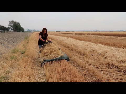 Making Wheat Wreaths with my Mom!