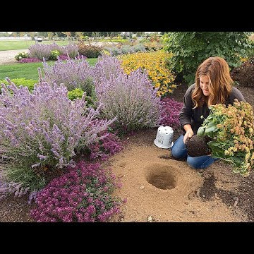 Homemade Peach Ice Cream + Planting Three Gorgeous Perennials with Food Names!
