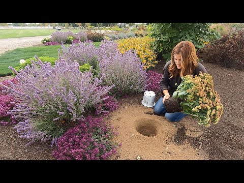 Homemade Peach Ice Cream + Planting Three Gorgeous Perennials with Food Names!