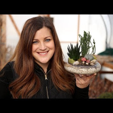 Hydro Stones Work! One Year Terrarium Update!