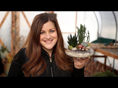 Hydro Stones Work! One Year Terrarium Update!