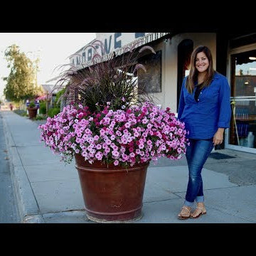Update! Downtown Pots | 30 Planter Project