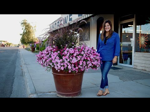 Update! Downtown Pots | 30 Planter Project