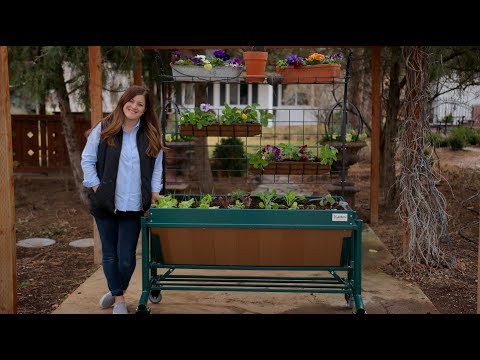 LGarden Original Raised Bed Planter + Giveaway!