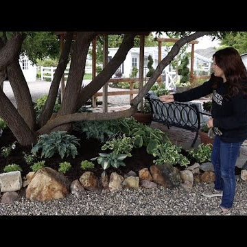 Planting a Hosta Garden!