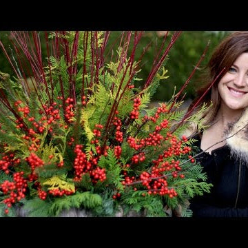 How to Make a Pretty  Winter Container