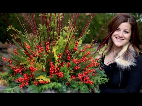 How to Make a Pretty  Winter Container