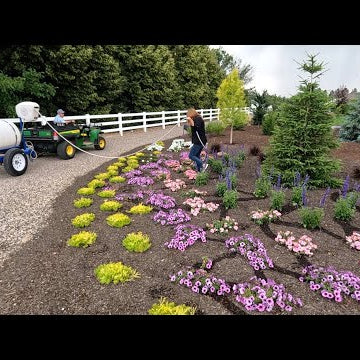 How We Fertilize Our Annuals: Equipment, Fertilizers & Schedule!