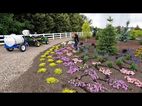 How We Fertilize Our Annuals: Equipment, Fertilizers & Schedule!