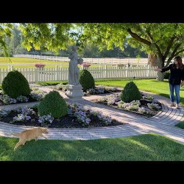 Heat Wave Garden Tour
