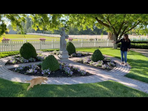 Heat Wave Garden Tour