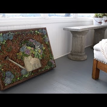 Vertical Succulent Portrait in a  DIY Frame!