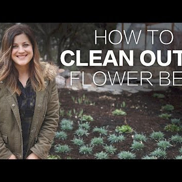 How to Clean Out a Flower Bed