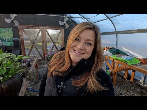 Planting a Hellebore Centerpiece & A Look at the Pond!