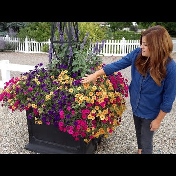 July Garden Tour Part 2