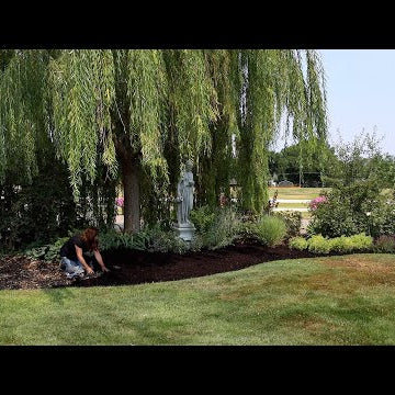 Making This Flower Bed Look WAY Better!