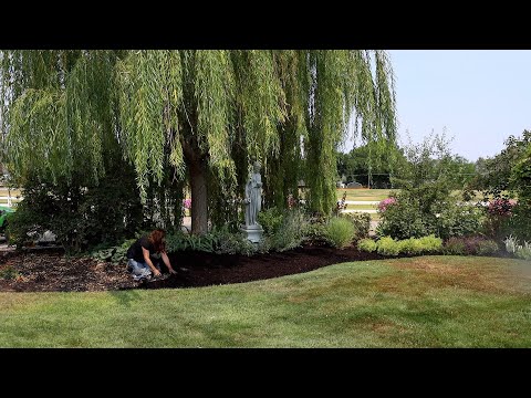 Making This Flower Bed Look WAY Better!