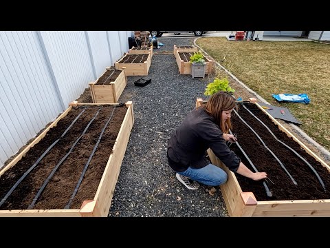 Setting Up a Complete Drip System for Raised Beds from a Hose Faucet!