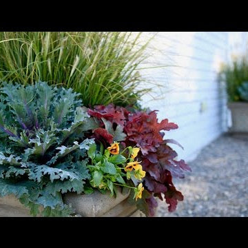 Fall Container Inspiration