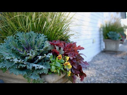 Fall Container Inspiration