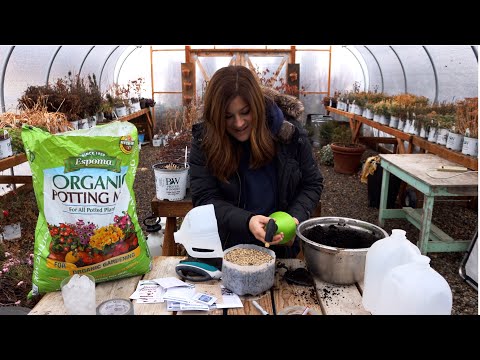 Winter Sowing for 2021!