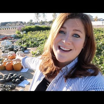 Pumpkin & Squash Harvest (& How To Tell When They’re Ready to Pick)!!!