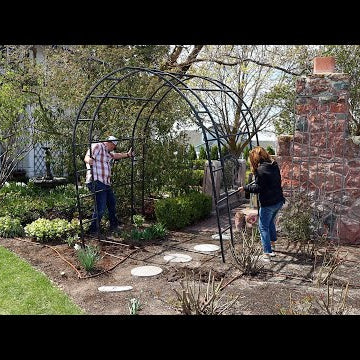 A Project Gone Awry  & Transplanting a Venus Dogwood!
