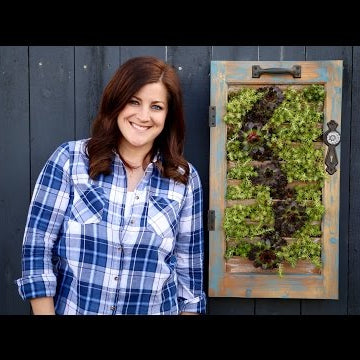 Vertical Sedum Wall Planter