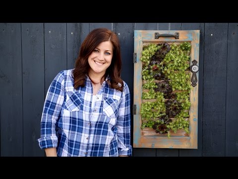 Vertical Sedum Wall Planter