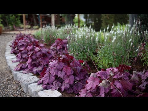 Planting a New Flowerbed