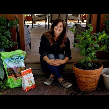 Growing Citrus Trees in Containers!