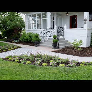 Planting a Beautiful Combination of Plants in Our Front Entryway!