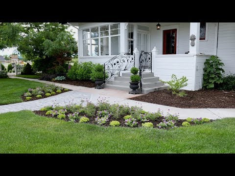 Planting a Beautiful Combination of Plants in Our Front Entryway!