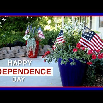4th of July Containers