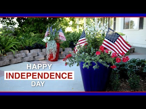 4th of July Containers