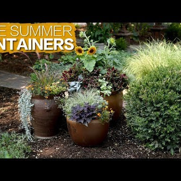 Late Summer Containers