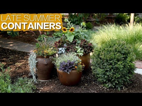 Late Summer Containers