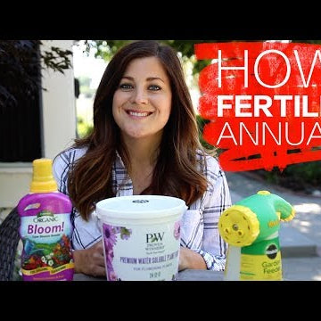 How I Fertilize Annuals