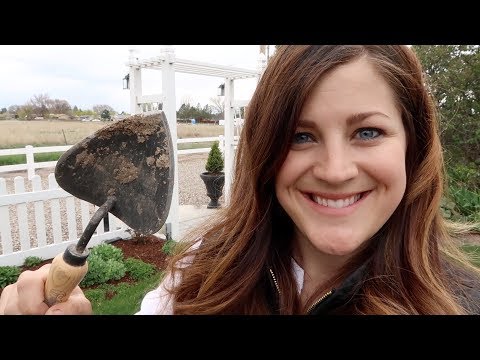 Planting Day!