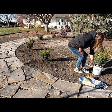 Planting Yews + Decorating a Few Doors & the Balcony for Christmas!