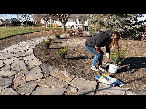 Planting Yews + Decorating a Few Doors & the Balcony for Christmas!