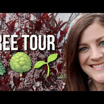 New Tree Tour!