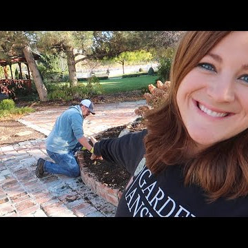 Trying Out Different Methods is Digging & Storing Elephant Ears + Planting More Daffodils!