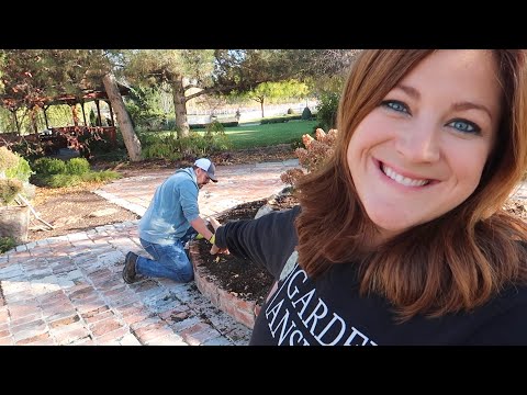 Trying Out Different Methods is Digging & Storing Elephant Ears + Planting More Daffodils!