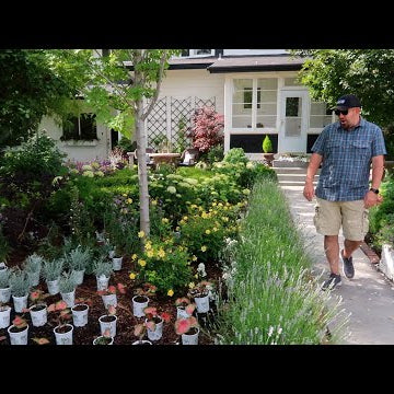 Even Aaron was Surprised by the Amount of Plants!