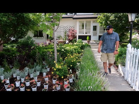 Even Aaron was Surprised by the Amount of Plants!
